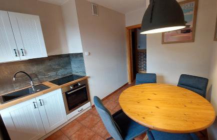 Apartament Międzygórski - Foto 23