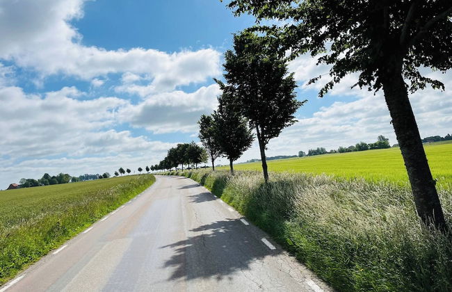 Guest Apartment Österlen Near Tosselilla & Golf Course - Foto 67