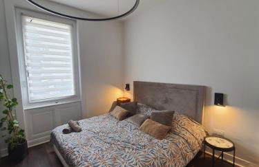 Hôte Stéphanois Studio & parking - Foto 35