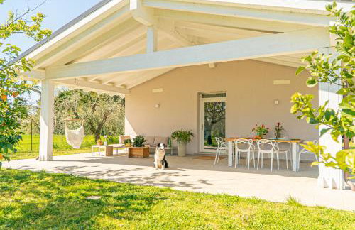 Casa RiVa - Among olive trees and the Tuscan coast - Photo 1