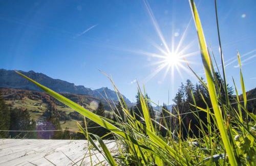 Agriturismo Maso Runch - Foto 13