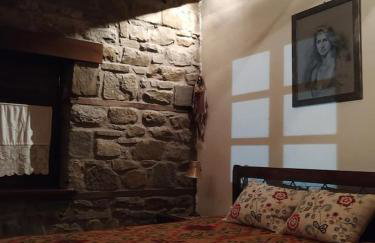 Παραδοσιακή πέτρινη κατοικία στην Βλάχα Ελάτης - Foto 41