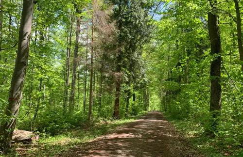 Wohlfühlwohnung im Erdgeschoss - Foto 9