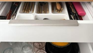 Estudi d art i natura - Foto 4