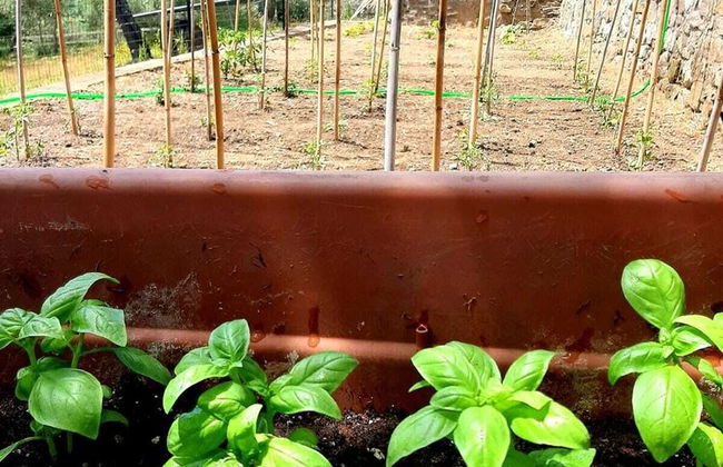 Charming 4-bed Cottage 15 Minutes From Florence - Foto 18