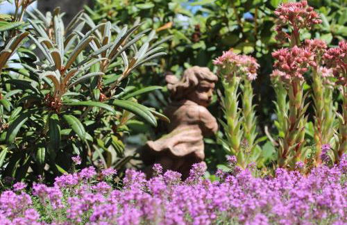 Appartement`s - HAUS KAROLA - Photo 7