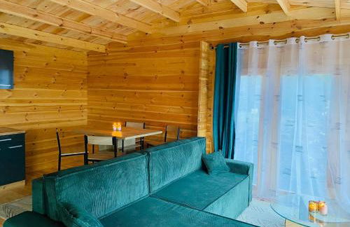 CHALET EN BOIS PRIVATIF ST POURCAIN SUR SIOULE - Foto 10