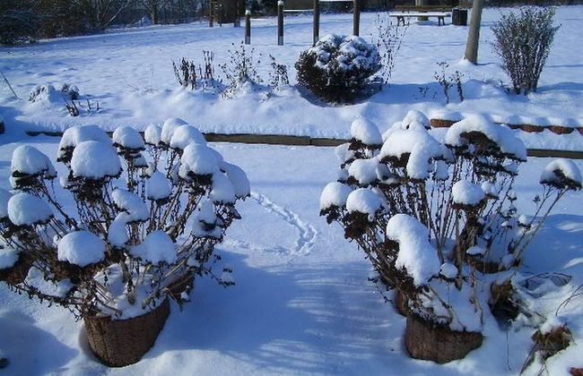 Bungalow im Feriendorf Uslar mit Gartenterrasse - Foto 38