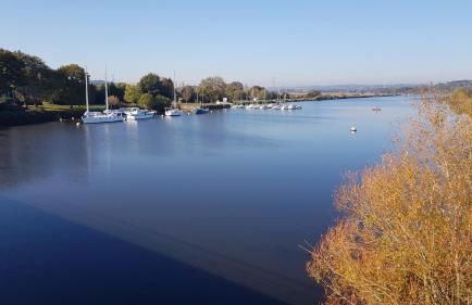 BELLE VISNONIA meublé de caractère Sud Morbihan - Foto 28