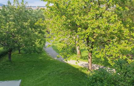 Studio Kaline - Foto 26