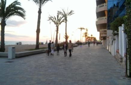 Passeig Maritim Apartment - Photo 78