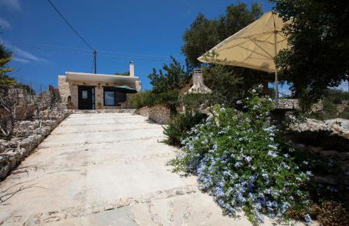 Anemos Studio - Foto 122