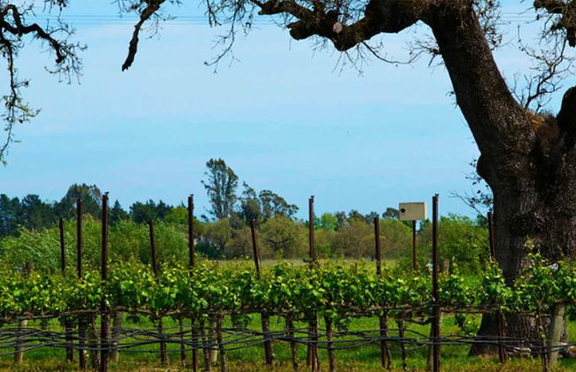 2900sqft villa near ski & snowboarding - Foto 39