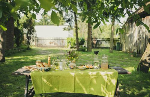 Stara Kuźnia- Domek w Puszczy Noteckiej - Foto 16