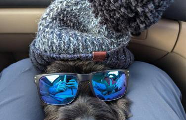 MIDSHIPS A HOLIDAY HOME IN DARTMOUTH SLEEPS UPTO 6 PEOPLE ,PET FRIENDLY , 10 MINUTES WALK TO Town CENTRE WITH PARKING included - Foto 4