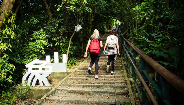 Pinglin & Elephant Mountain Tour - Foto 4