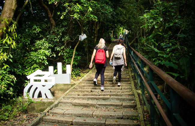 Excursión a Pinglin y la Montaña del Elefante - Foto 4