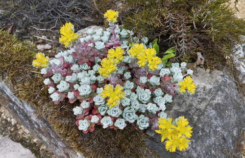 Sophienquelle Schweizermühle - Foto 16