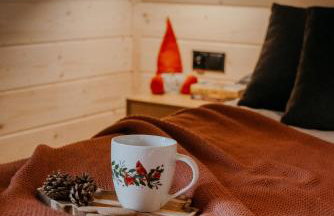 Czorsztyn View Chalets - Photo 53