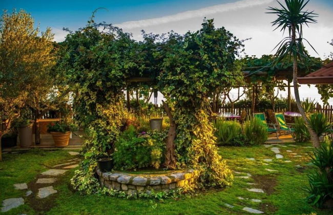 Agriturismo Mare e Monti - Foto 56