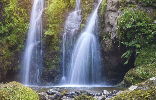 Tour in Nordeste - Photo 1