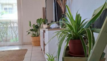 Joli Appt La Pérouse, 2 Chbres, Centre ville, Jardin - Photo 3, Garden view