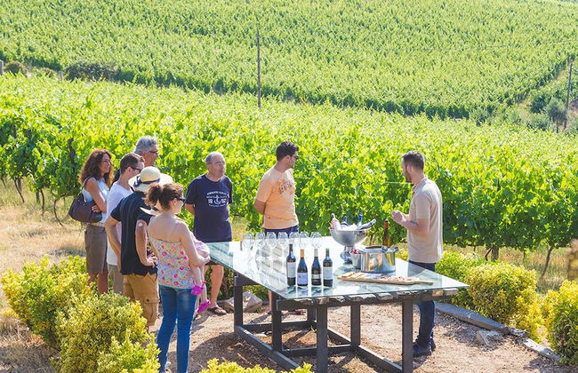 Quinta da Barroca - Foto 78