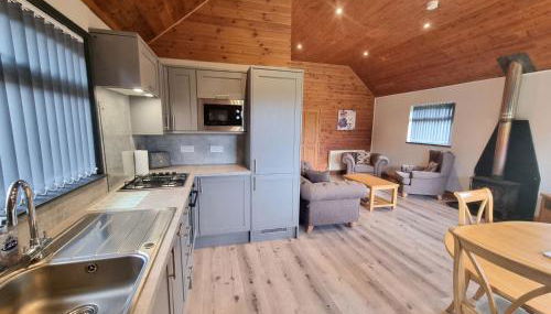 Willow Plus 4 Hot Tub - Foto 5, stove, pet friendly