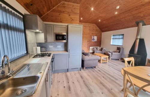 Willow Plus 4 Hot Tub - Foto 5