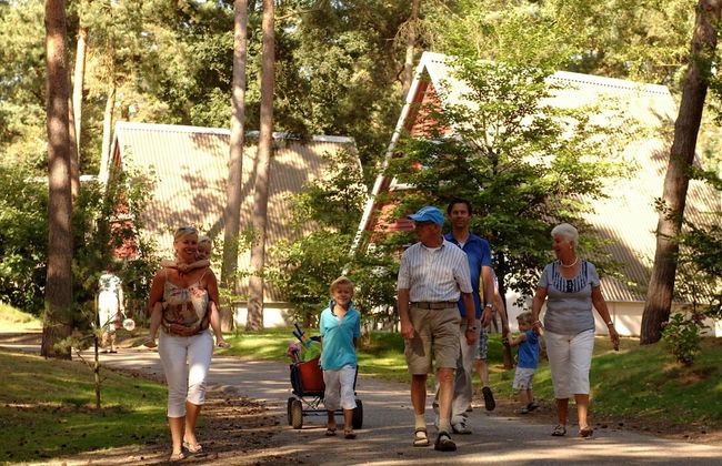 Bungalow in Bospark 't Wolfsven Near Nature - Foto 9