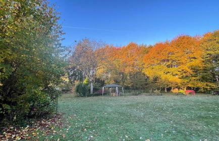 La maison d'Apolline - Photo 47