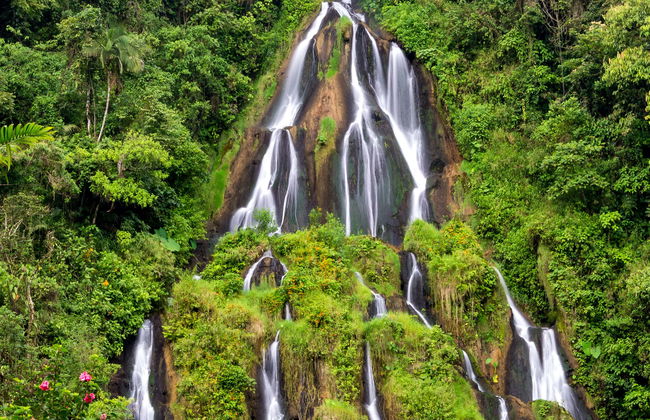 Tour in Pereira - Photo 1