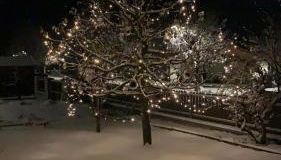 App. Tamanhof - Photo 5