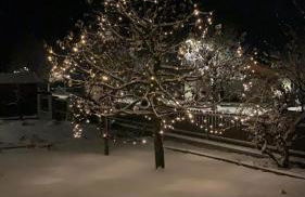 App. Tamanhof - Photo 5