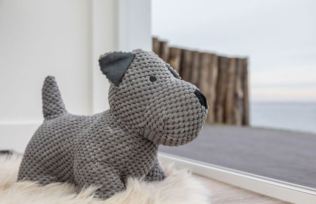 Apartment in Sint-annaland by Oosterschelde - Foto 24