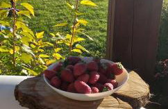 Waszczyszynówka Bieszczady - Foto 31