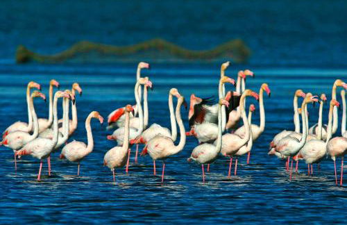 Casa Josep - Foto 64