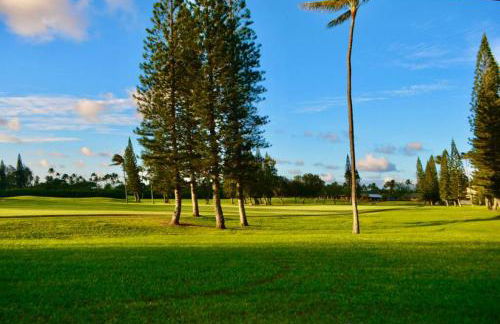 Golf Course Serenity at Turtle Bay - Photo 21