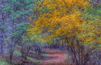 Apartamentos El Pajar del Abuelo - Foto 7