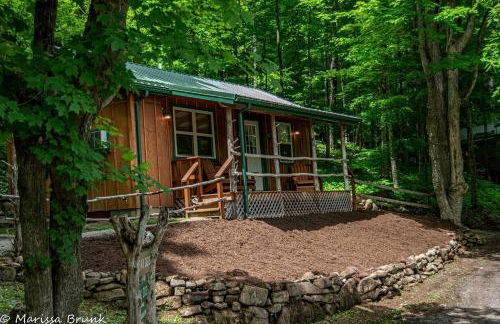 Cabin in the woods w/ WIFI close to Monongahela National Forest - Foto 21