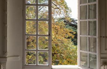 Domaine de Rieucoulon - Photo 37