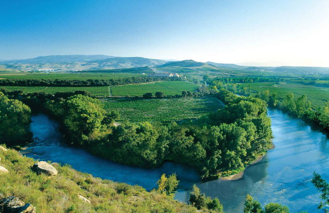 Visita a la finca Valpiedra - Foto 8