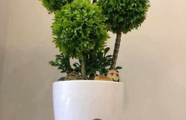 Viana do Castelo - Amonde Village Casa P - Conforto Qualidade Natureza - Foto 18