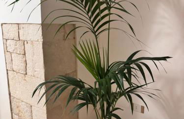 Palazzo Sisina - Foto 20