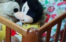 Casa dell'Artista singola e indipendente - Foto 52