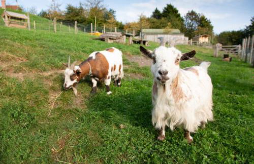 Upper Vobster Farm - Foto 18