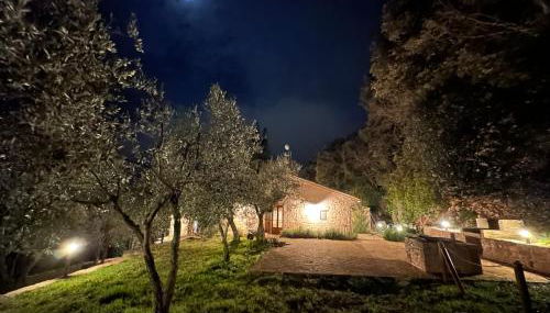 Spello Sant'Onofrio - Foto 2, Garden, Garden view