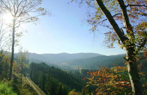 Apartment in Dachsberg-urberg - Foto 62