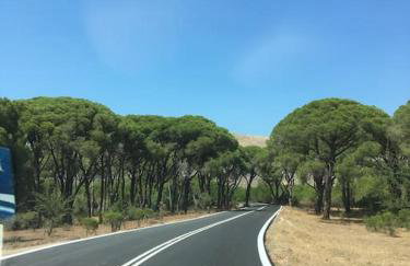 Villa Anastasia! in STROFYLIA pine FOREST!!! - Foto 26