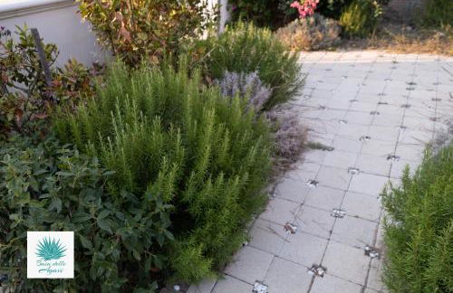 BAIA DELLE AGAVI - Foto 40